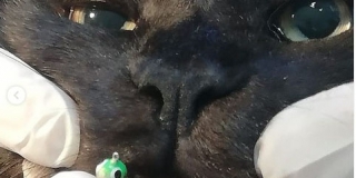  ����������� ���������� ������ �� ����������� ������ ����-����