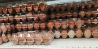 Саратовское правительство выясняет причины удорожания яиц до 100 рублей