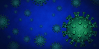  � ������� �� ������������ ���������� ��� 6 �������