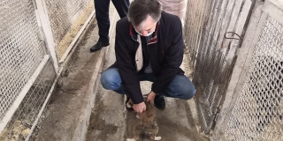 Депутата Вадима Рогожина удивил приют для собак в Новых Бурасах Депутата Вадима Рогожина удивил приют для собак в Новых Бурасах