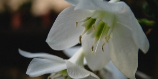 �������� ������� ������� ��������� ������������ ������������� ����