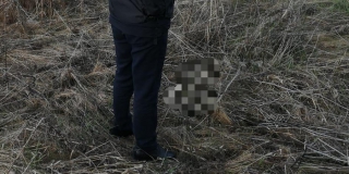 В Балашове возле стройки обнаружили человеческий череп