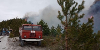 Лесной пожар в национальном парке «Хвалынский» локализован