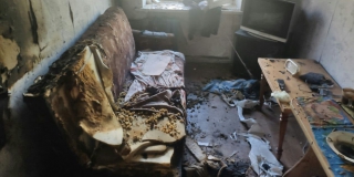 � �������� ��-�� ������ ������������ ������� ����������