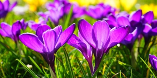 � ����������� ������� ����� ������ ������������ ���� �� +30 ��������