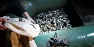 Под Новоузенском браконьеры выловили 40 кг рыбы и более 400 раков