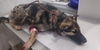 � �������� ������� ���������� ������ � ��������� �� �����