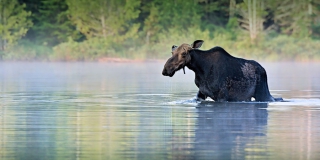 ��������� �������� 560 ����� �� �������� ������ � �������� �����������