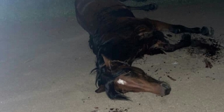 ����� � ����������� ������ �������� ���� �������� ���� �������