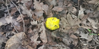 ���� � ��������� ����� ����� ������������� ���������