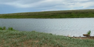 ��� ������������ ����� ������� ��������� ����� ������ � ������