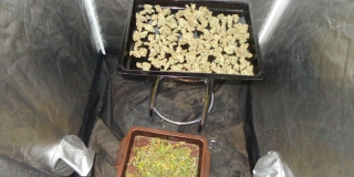 ��������� ������ �� 10 ��� ������� �� ����������� ������� � ���� ����