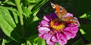 ������� ����������� ������� ������� ������ ��� ���������� ����