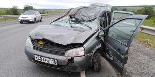 В Воскресенском районе после ДТП погибли лось и водитель «Калины» В Воскресенском районе после ДТП погибли лось и водитель «Калины»