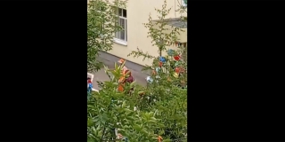 ������ �������� ������������ �� ������� ������ ������� �����