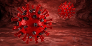 Коронавирус за сутки унес жизни 8 саратовцев Коронавирус за сутки унес жизни 8 саратовцев