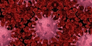 В Саратовской области число зараженных COVID увеличилось еще на 109 человек В Саратовской области число зараженных COVID увеличилось еще на 109 человек