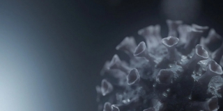 Шесть человек за сутки скончались от коронавируса в регионе Шесть человек за сутки скончались от коронавируса в регионе