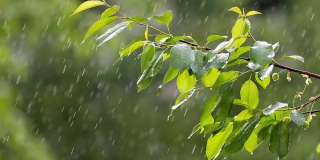 � ������� ����������� ������� ������� �����