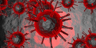 В Саратовской области от COVID скончались еще 4 женщины и 4 мужчин В Саратовской области от COVID скончались еще 4 женщины и 4 мужчин