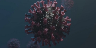 Заболеваемость по коронавирусу в РФ выросла до максимума с 22 февраля Заболеваемость по коронавирусу в РФ выросла до максимума с 22 февраля