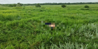 В Красноармейском районе грибники нашли в поле труп мужчины