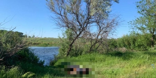 � ����������� ������ � ���� ����� ���� 80-������� �������