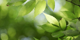 ������ ����� ����������� ������ ���������� ��� ����������� ������� ������� ����������