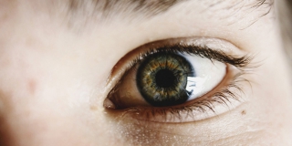 � �������� ������� ������� �� �������� ��������� �� ������ ������ ������