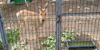 ���������� ������ ��������� ������ � ������������ ����� �����������