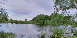 �������� �� ������� �����. ���� ����� � ���� ��-�� ���������� ������