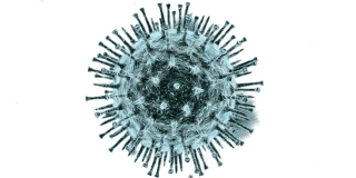 � ����������� ������� �� ����� 15 ������� ������ �� COVID