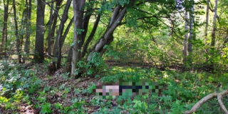 ��� ���������� � ���� ����� ���� 26-������� �������� ������