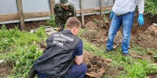 ���� ������� �������� �������� �� �������� �������� 3-������ ��������