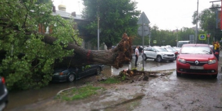 Ураган в Саратове: упали 44 дерева, повреждены 15 машин и 9 газовых труб
