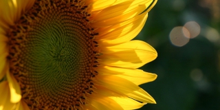 � �������� ���� �������� ���� � ��������� ������