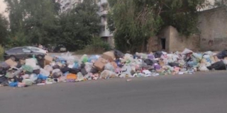 ������ ���������� ������������ �� ������� ������ ����� ������