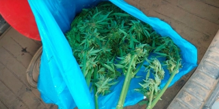 � ������������� ������ ����������� ���������� ��� ��������� �������