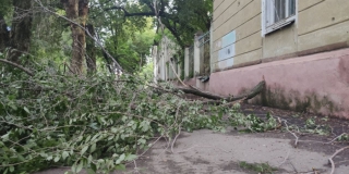 Ураганный ветер в Саратове. Число рухнувших деревьев выросло до 81