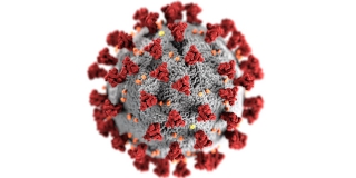 Коронавирус нашли еще у 245 саратовцев. Среди них 20 детей Коронавирус нашли еще у 245 саратовцев. Среди них 20 детей