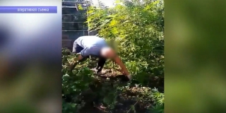 � ������ �������� ������ ����� 100 ������ �������