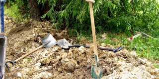 Белорусские поисковики нашли останки саратовских участников ВОВ Белорусские поисковики нашли останки саратовских участников ВОВ