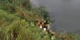 � ���������� ������ ������� ����� ������� �� ������ ����