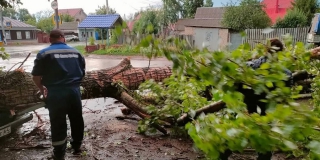 Ветер оказался разрушительным в Петровском, Калининском и Романовском районах