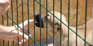 ����� ����������� ����� ������ ��� 90 ����� � 7 �����