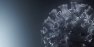 В Саратовской области от COVID умерло 19 человек от 43 до 86 лет В Саратовской области от COVID умерло 19 человек от 43 до 86 лет