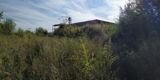 � �������� �� �������� �������� ��������� �� ���� �������