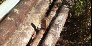 ������ �������� �������� �� ��������� ����������� ��������� ������������� �����