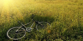 ��� ��������� ���� �������� �������� �������� �������������