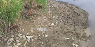 ��� ��������� � ���������� ����� ������� ���� � �����